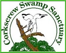 corkscrew swamp sanctuary