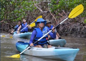 Top 5 Kayaking Companies in Naples