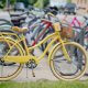 Where to Get Bike Rentals in Naples FL